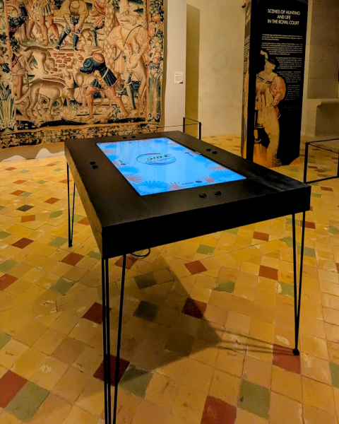 DDetail of the Grand Prix BIC interactive installation