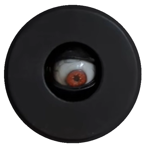 Animation de l'œil animatronique de l'installation